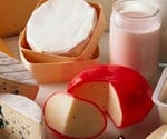 Image of dairy products including cheese, milk, butter, and yogurt