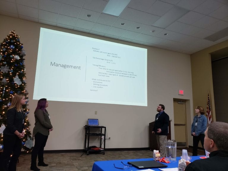 students giving a presentation