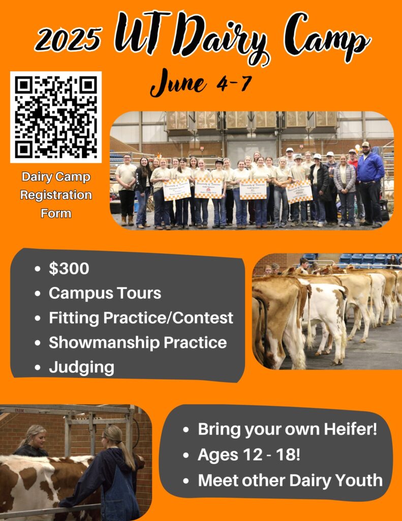 May be an image of 7 people and text that says '2025 ИT Dairy Camp June 4-7 Dairy DairyCamp Camp Registration Form $300 Campus Tours Fitting Practice/Contest Contest Showmanship Practice Judging Bring your own Heifer! Ages 12-18! 12 18! Meet other Dairy Youth'